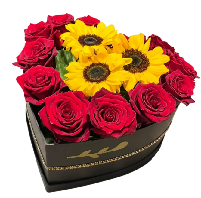 Corazón de Amor y Alegria