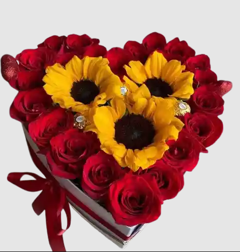 Corazón de Amor y Alegria
