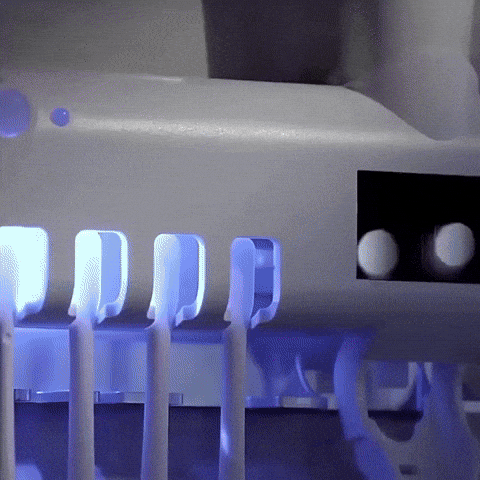 Soporte Esterilizador para Cepillos de Dientes con Dispensador de Crema Dental