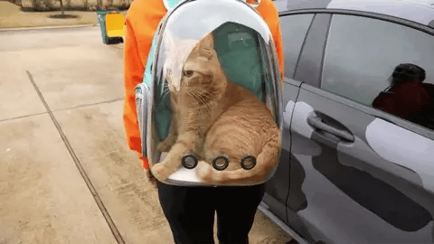 Maleta Transportadora para Mascotas