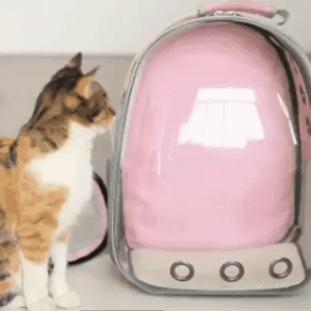 Maleta Transportadora para Mascotas